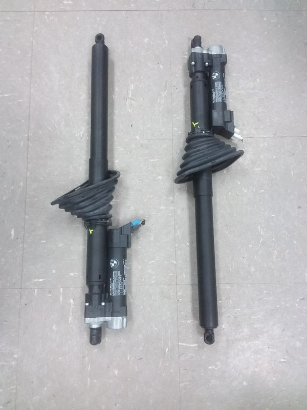 Pair Of Power Decklid Truck Struts 2019 BMW 430i 7432375 7432376