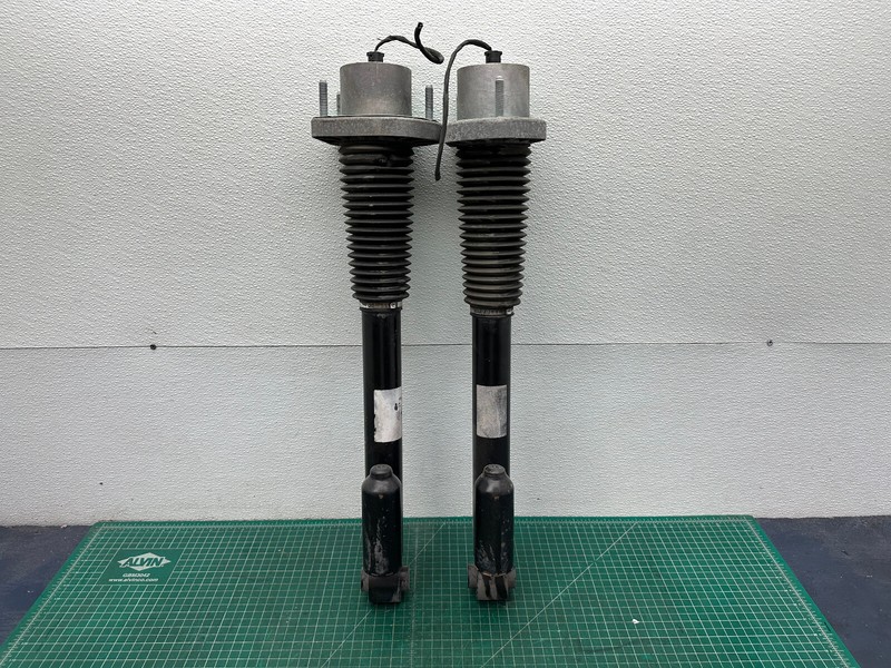 13-17 Range Rover L405 5.0L REAR LEFT RIGHT SUSPENSION SHOCK ABSORBER STRUT OEM