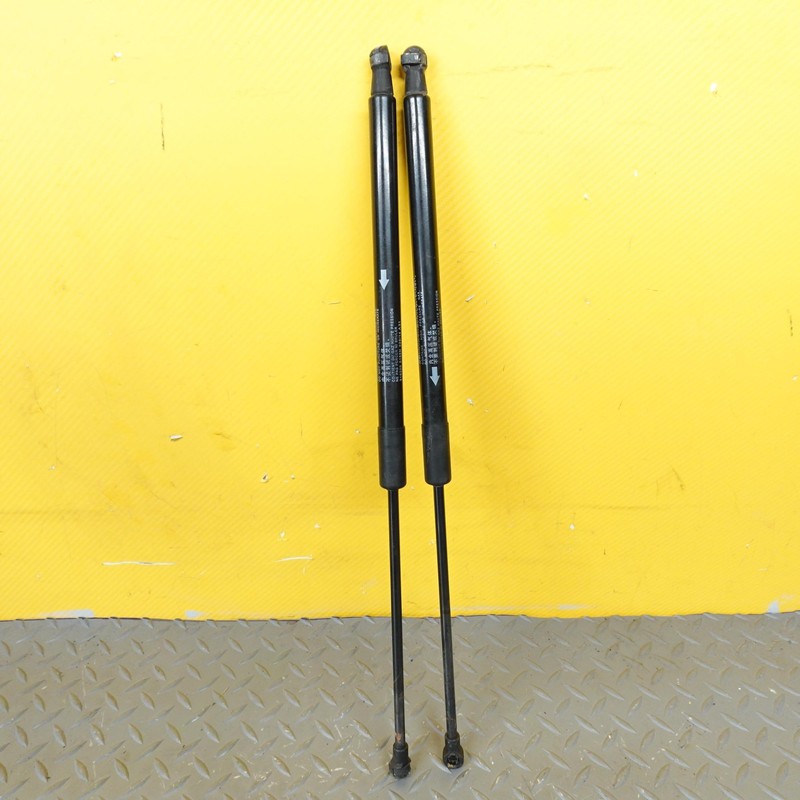 2015-2024 LEXUS RC350 FRONT LEFT RIGHT HOOD SHOCK SUPPORT SET OF 2 53440-0W290