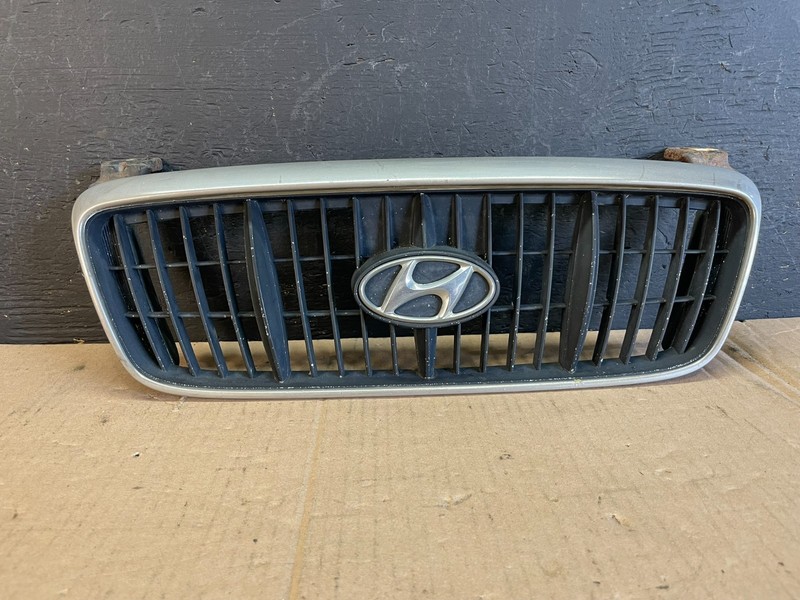 2000 to 2003 Hyundai Elantra Front Grille Grill 86351-2D000 ad8581 DG