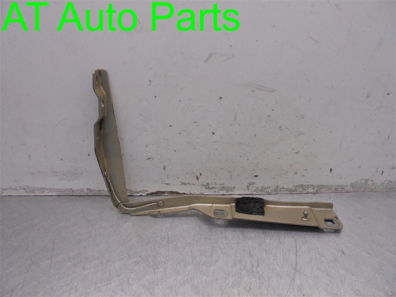 99 00 01 02 03 04 JEEP GRAND CHEROKEE PASSENGER RIGHT HOOD HINGE GOLD OEM