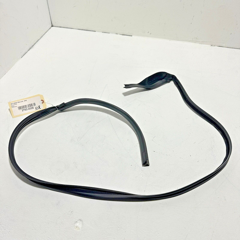 2009-2015 BMW 750 Li REAR PASSENGER SIDE UPPER DOOR ROOF SEALING RUBBER OEM