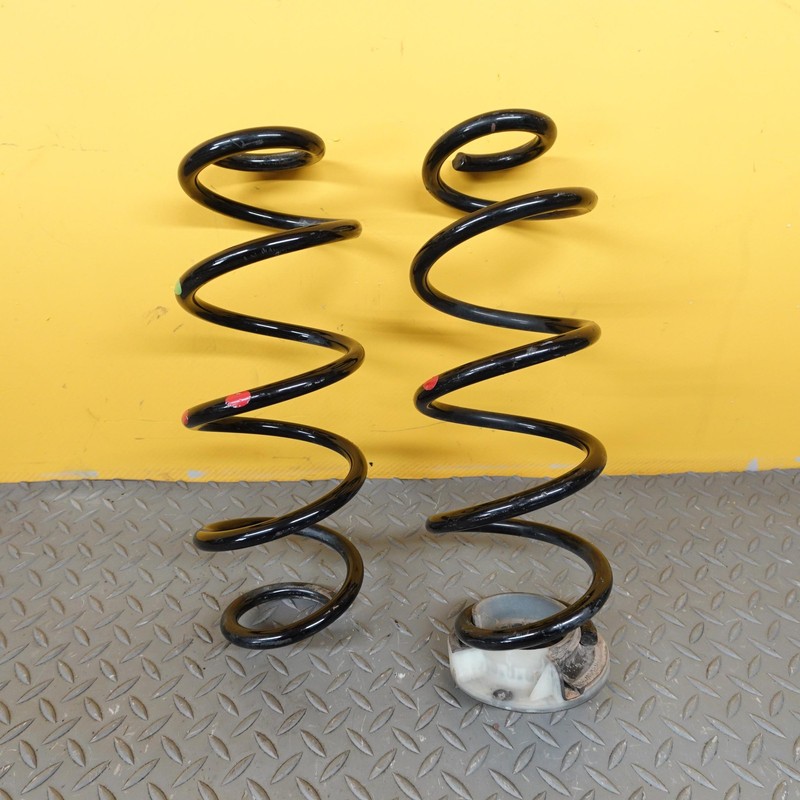 2024-2025 NISSAN ROGUE Rear Left/Right Suspension Coil Spring Set Oem 550206ra1f