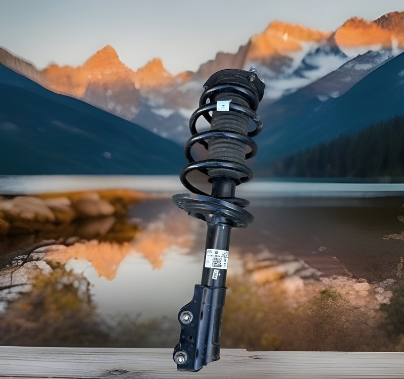 ✅ 2018-23 CHEVROLET TRAVERSE FWD FRONT LEFT RIGHT SIDE STRUT SHOCK ABSORBER OEM✅