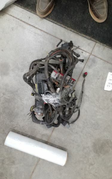 F250SD2000 Body Wire Harness 231013