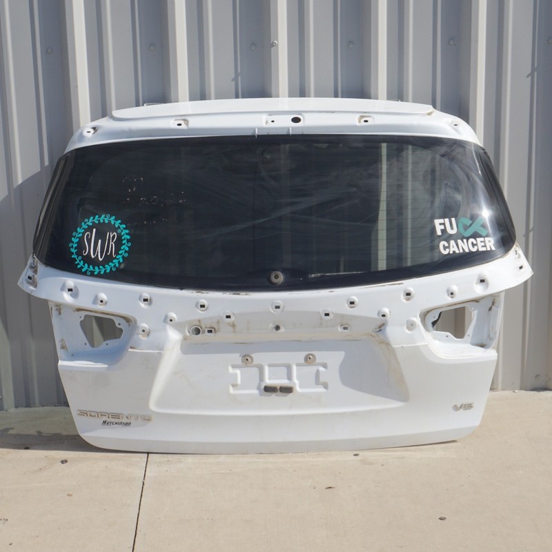 2019 - 2020 Kia Sorento Hatch Tail Gate Trunk OEM