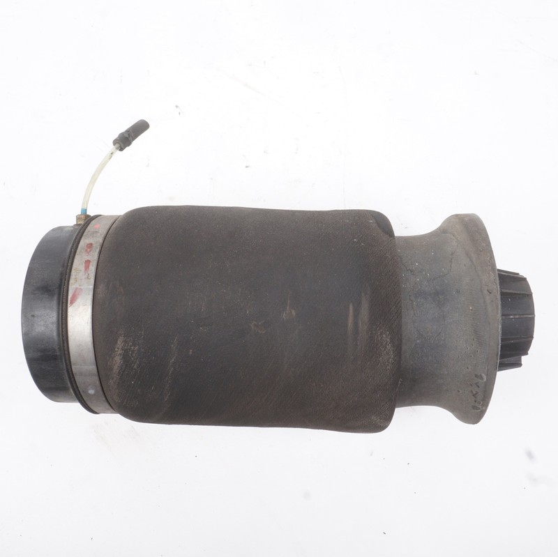 2006 - 2019 Mercedes X164 GL450 GLS550 ML550 Rear Left or Right Air Bag Shock