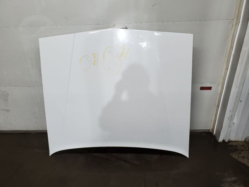 Hood Fits 88-93 DYNASTY 278354