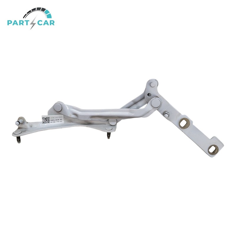 2021 2022 2023 Tesla Model 3 M3 Rear Left Driver Trunk Lid Hinge White OEM