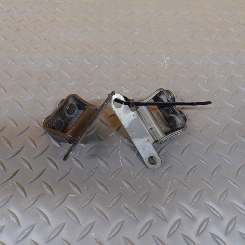 2020-2025 KIA TELLURIDE REAR RIGHT LEFT LIFTGATE HINGE SET X2 OEM 79710 D9000