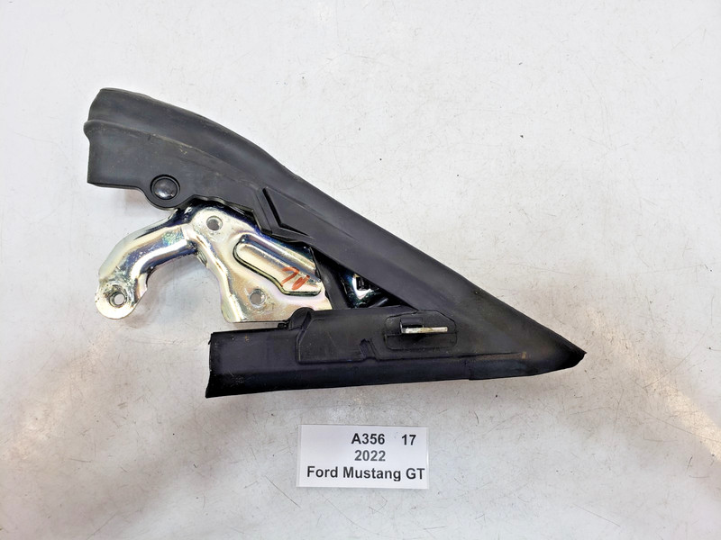 ✅ 15-23 OEM Ford Mustang GT Right Side Door Glass Belt Weatherstrip Seal 7k