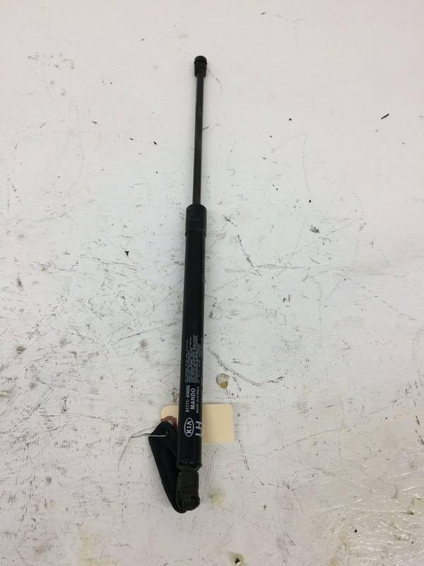 Left Tailgate Liftgate Cylinder Strut 81771-A9000 2015 Kia Sedona 2016-2020 2021