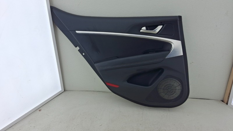 2019-2021 GENESIS G70 advanced LEFT DRIVER rear INTERIOR DOOR PANEL ASSEMBLY OEM