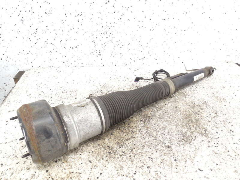 2007-2013 Mercedes-Benz S550 Rear Strut Shock Driver Left LH OEM