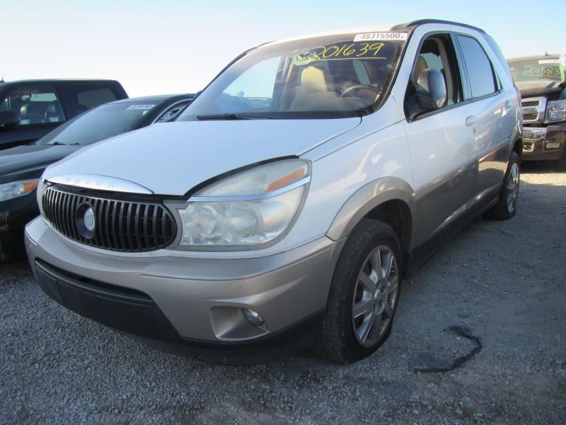 Passenger Right Rear Side Door Fits 02-07 RENDEZVOUS 2431419