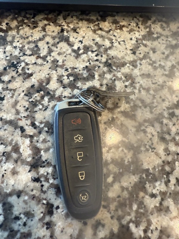 2011 LINCOLN MKXEntry Key