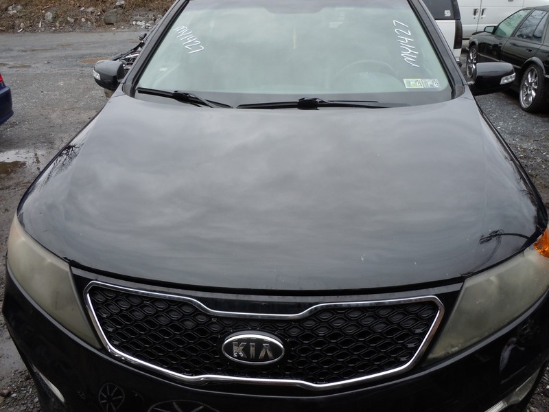 2011 12 13 14 2015 Kia Sorento Hood Bonnet Lid OEM EB *SEE NOTES*