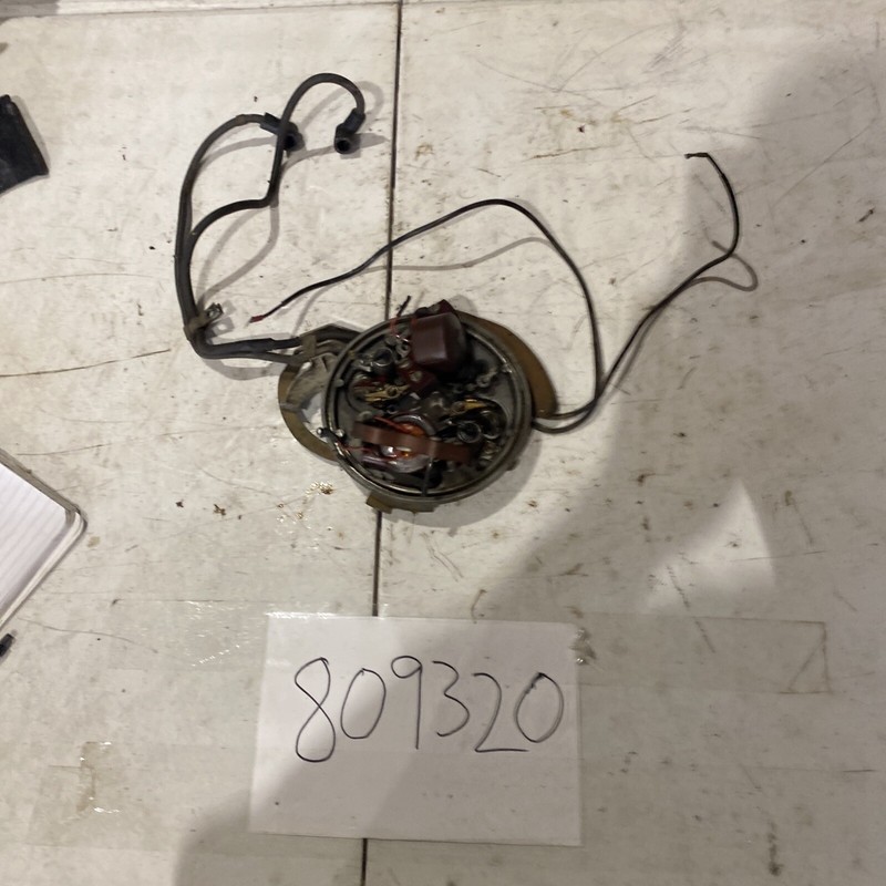 1959 Johnson 35 HP RDS-21 Super Seahorse - Stator Armature Plate