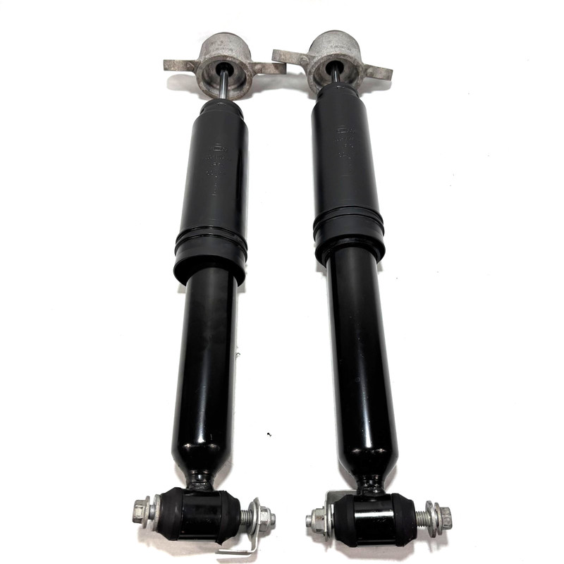 📌 2021-2025 FORD MUSTANG MACH-E REAR LEFT & RIGHT SHOCK STRUT ABSORBER SET OEM