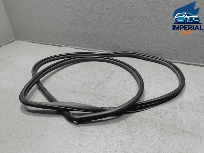 TOYOTA SIENNA FRONT DRIVER SIDE DOOR ON BODY WEATHERSTRIP SEAL OEM 2015-2020