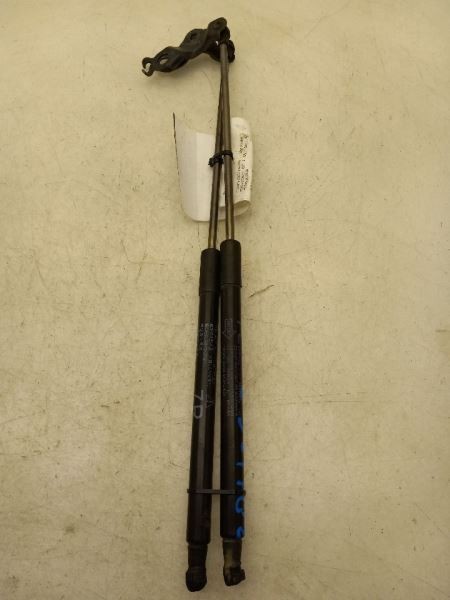 2016 LEXUS GX460 4.6L LEFT AND RIGHT SIDES HOOD STRUT PAIR