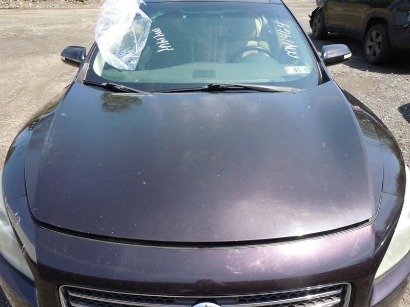 2009-2014 Nissan Maxima Hood Bonnet Lid OEM GAD