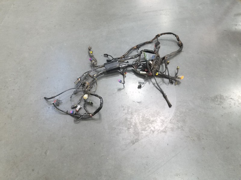 2007 07 Harley Softail HeritageWiring Harness EFI #4186 P3
