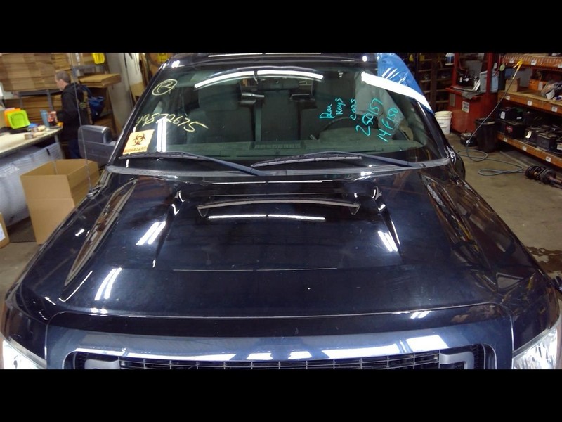 Hood Fits 09-14 FORD F150 PICKUP 1577462