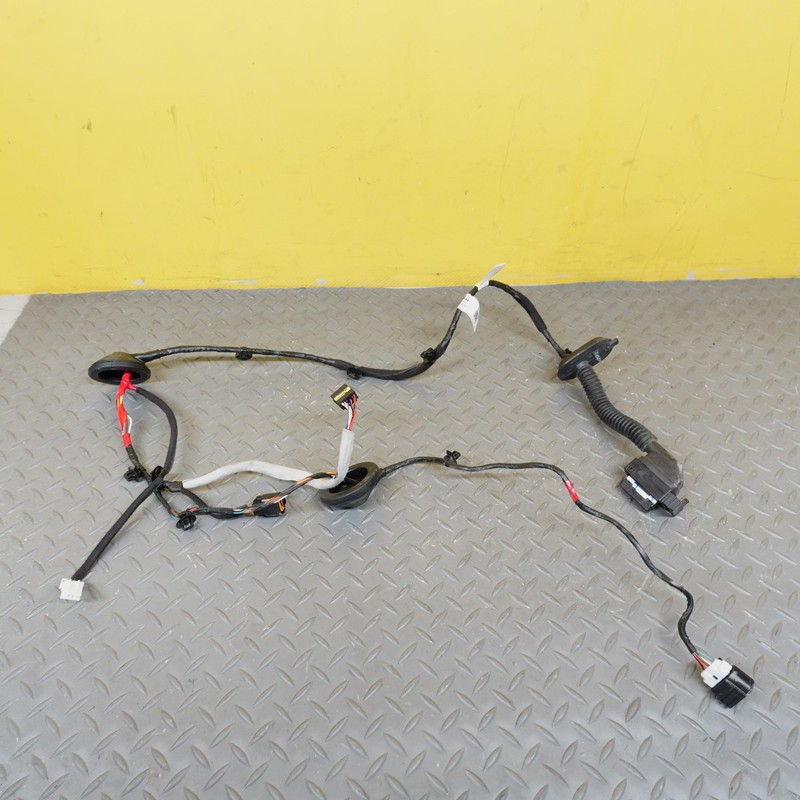 2024-2025 HYUNDAI SANTA FE REAR LEFT DOOR WIRE WIRING HARNESS OEM 91620R6010MA