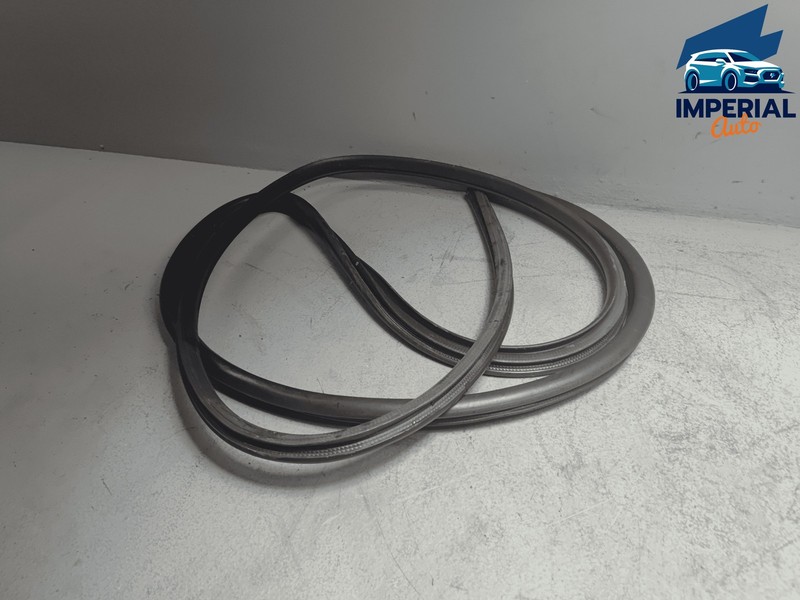 TOYOTA CAMRY FRONT PASSENGER SIDE DOOR ON BODY WEATHERSTRIP SEAL OEM 2018-2024