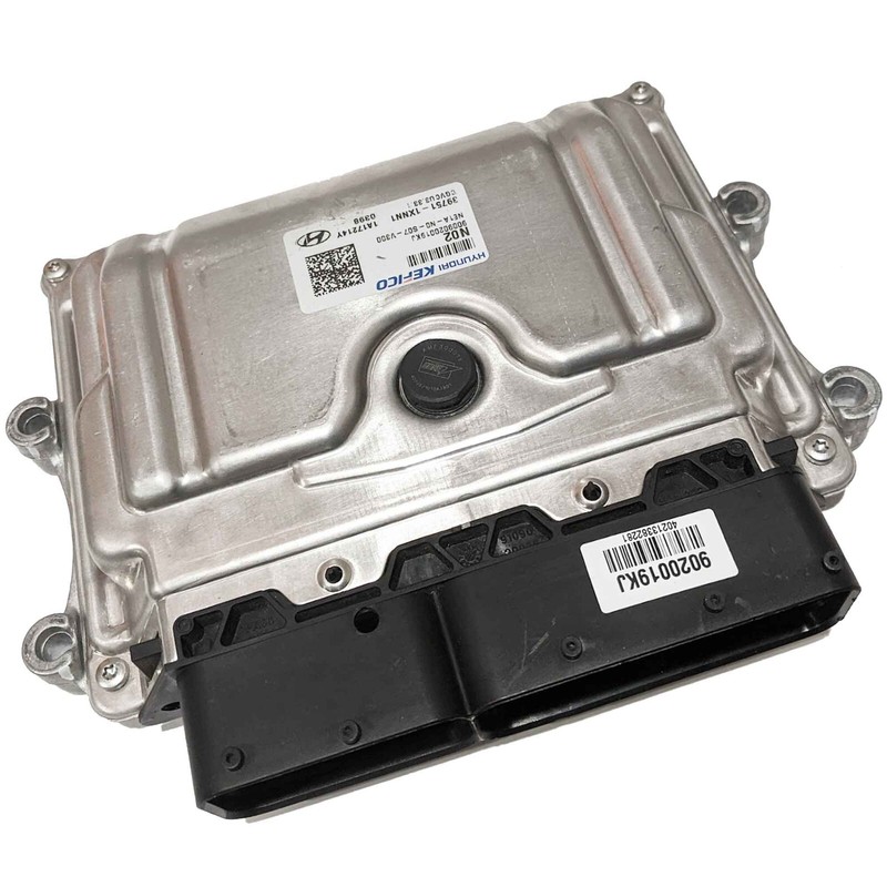 OEM Electric Engine Control Module ECU ECM Hyundai Ioniq 5 2022-2024 39751-1XNN1