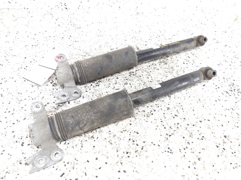 2018 18 Chevrolet Equinox Rear Shock Absorber Pair Left Right OEM