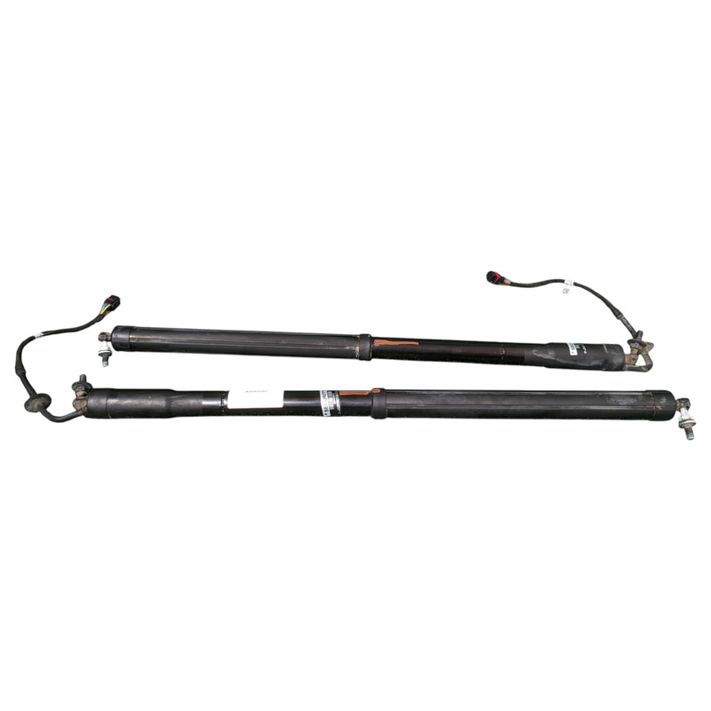 12-19 Range Rover Evoque L538 Left Right Pair Power Trunk Tailgate Strut Set OEM