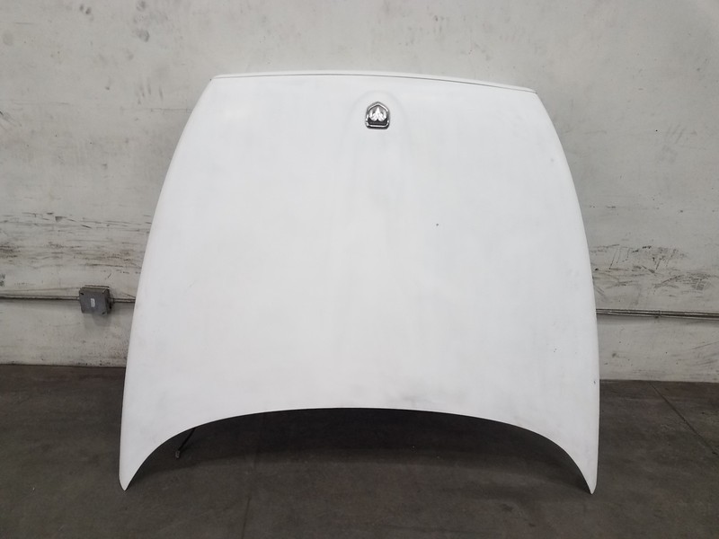 2002 Dodge Dakota R/T Hood Panel _* #8751 L1