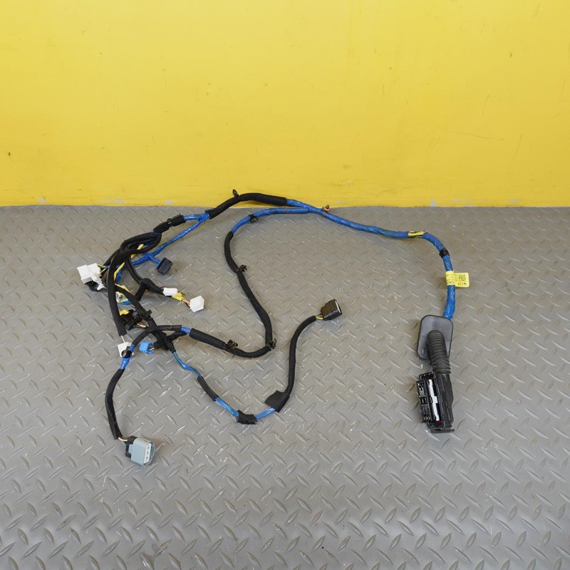 2022-2024 HYUNDAI IONIQ 5 FRONT RIGHT DOOR WIRE WIRING HARNESS OEM 916C3GI161BA
