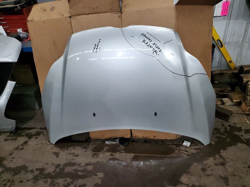 Hood Electric Model EV Fits 12-18 FOCUS 292423