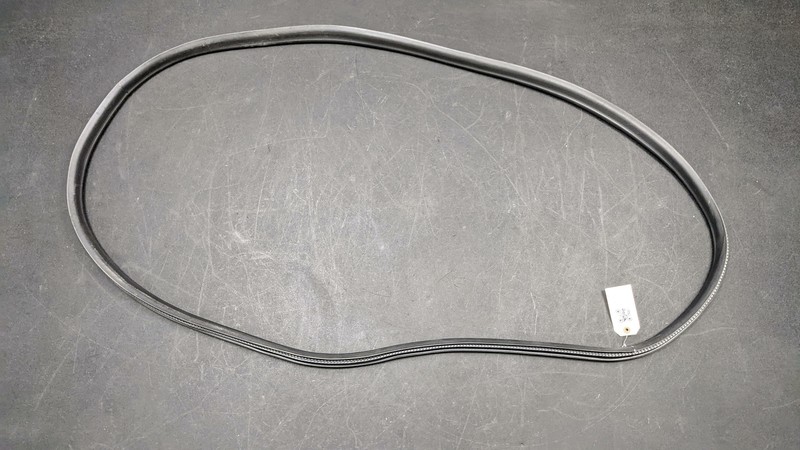 Left Driver Rear Door Body Weatherstrip GN1Z-7425325 2018 Ford EcoSport 19-2021
