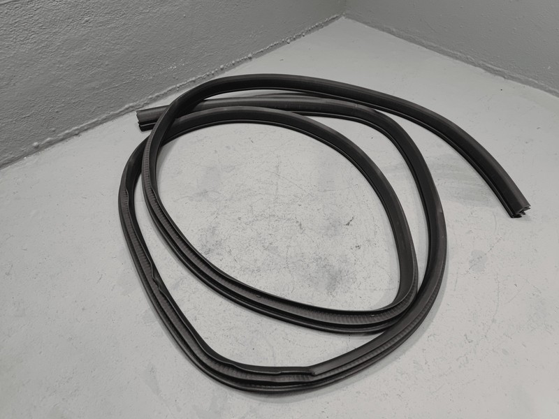 2021-2025 Nissan Rogue Front Right or Left Door Body Weatherstrip Seal OEM