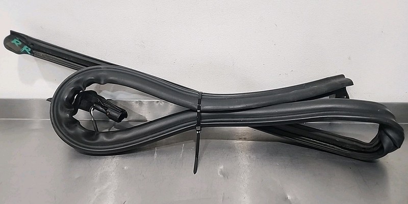 2015 2016 2017 2018 Kia Sedona Right Rear Sliding Door Pinch Sensor Seal OEM RR