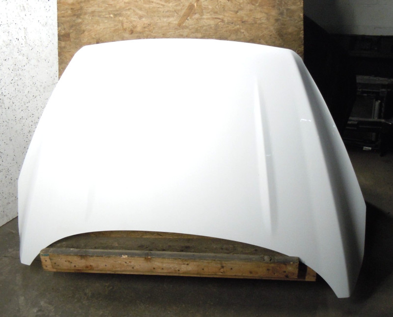 2017-2019 Ford Escape Hood Bonnet Lid OEM YZ