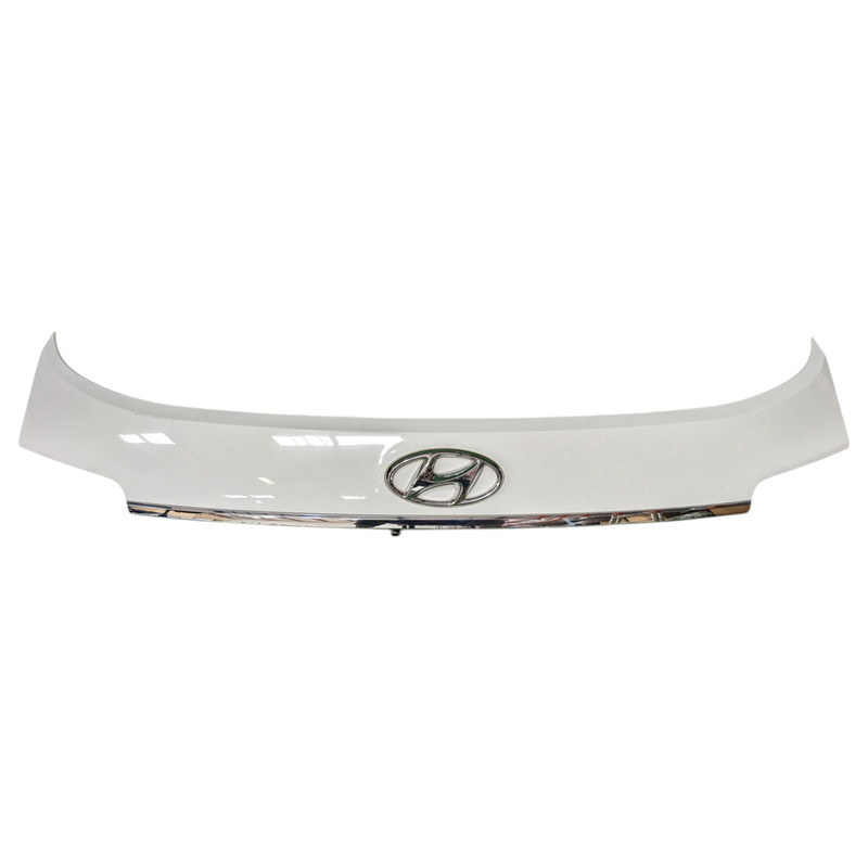 2017-2019 HYUNDAI SANTA FE REAR LIFTGATE COVER MOLDING TRIM W/ EMBLEM CAMERA OEM
