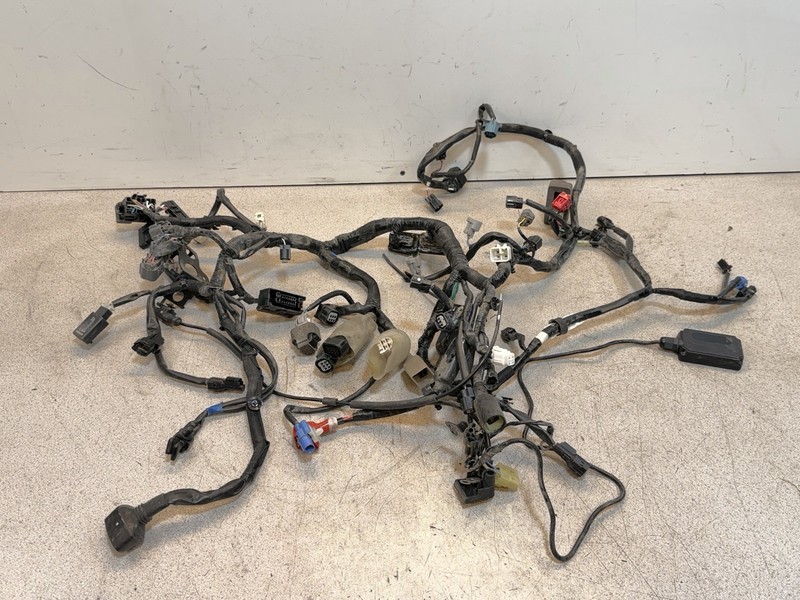 2024 24 Kawasaki Ninja EX 650 EX650 ABS Main Wire Wiring Harness Loom