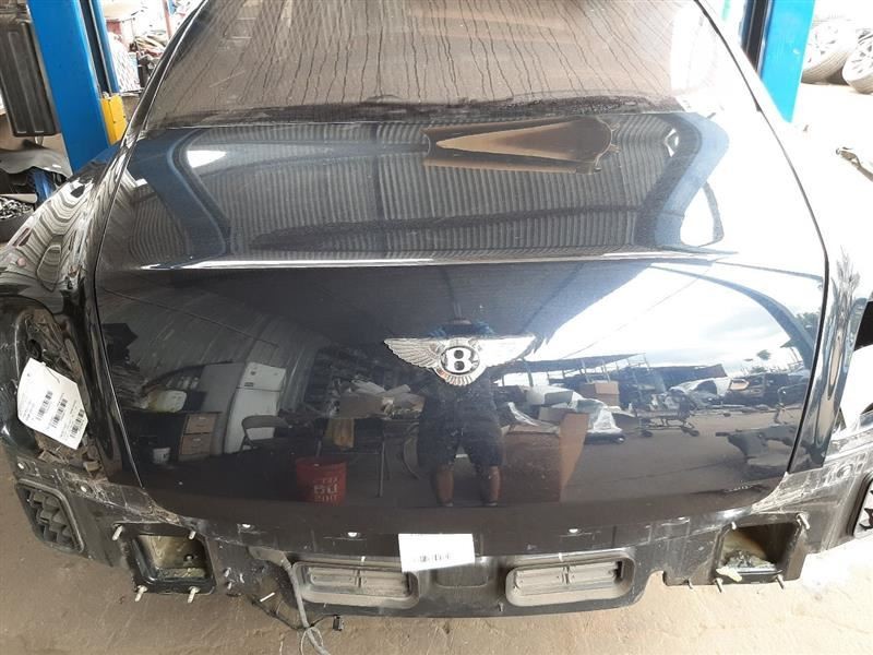 06-11 Bentley Flying Spur Trunk Lid Deck Lid Hatch Rear Boot 3W5827159
