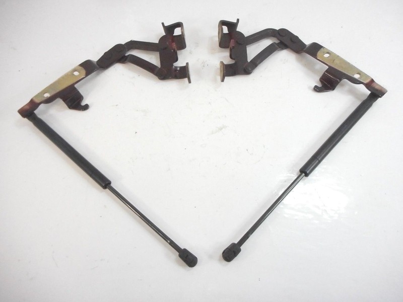 06 2006 Maserati Quattroporte M139 Front Left Right Hood Hinge W/ Shock Pair OEM