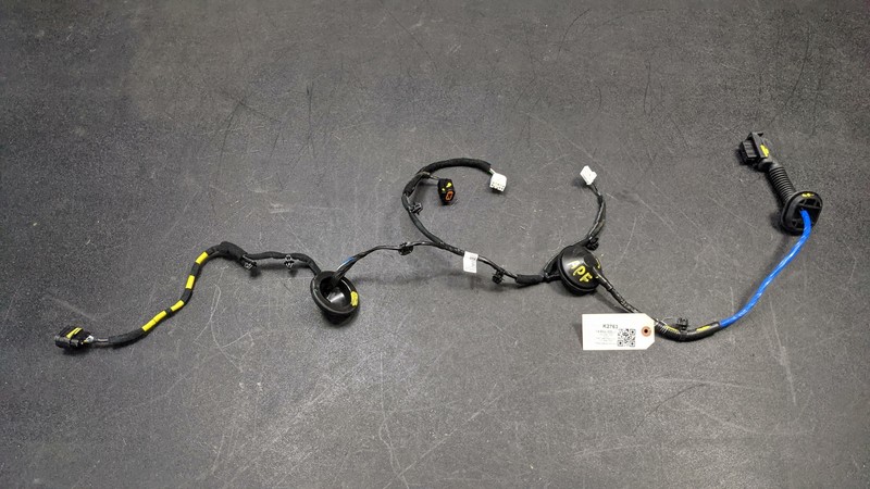Right Passenger Rear Door Wire Harness 91630-K0010 2020 Kia Soul 2021 See desc