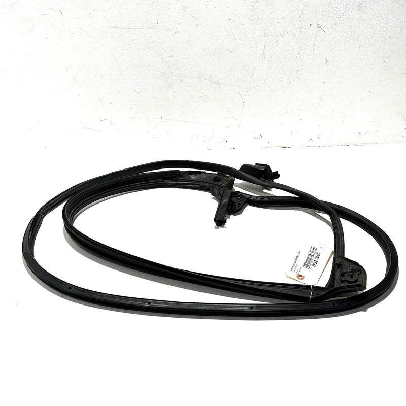 TOYOTA CAMRY 2018-2024 REAR LEFT DRIVER SIDE DOOR WEATHERSTRIP SEAL OEM