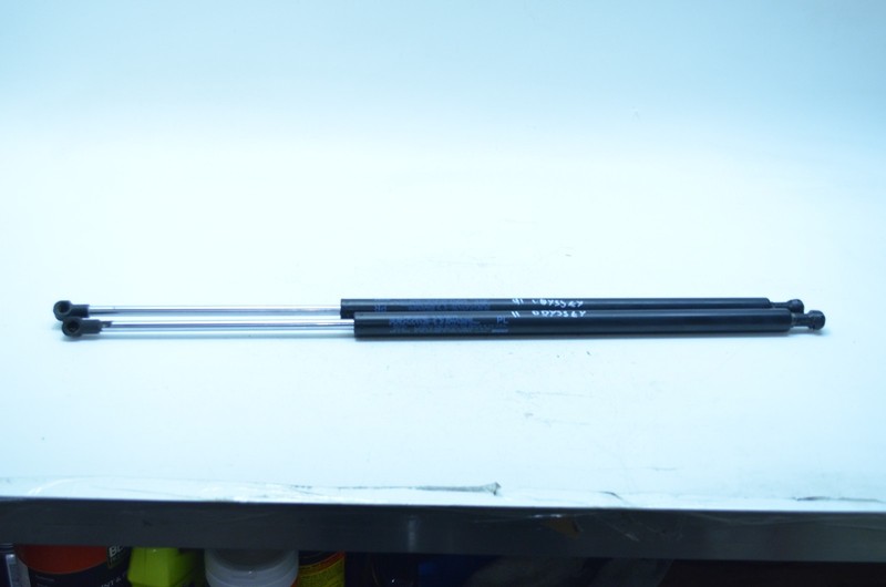 11-17 HONDA ODYSSEY REAR TAILGATE HATCH LIFT SUPPORT SHOCK STRUT SET OEM