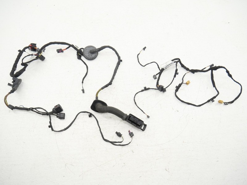 Used Rear Left Driver Door & Panel Wiring Harness 2016-2018 Audi RS7 C7.5 OEM
