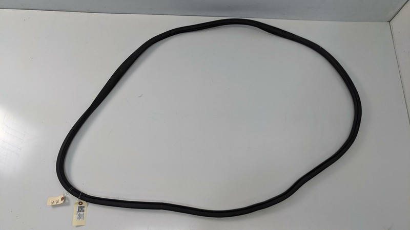 Front Left or Right Door Body Weatherstrip 2020 Ford Escape 2021 LJ6Z-7820708-C