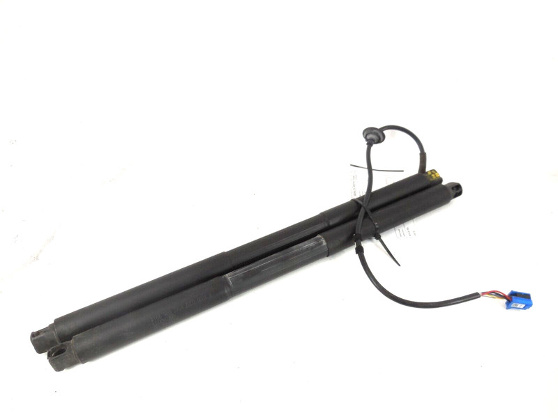 2017-2019 Mercedes-Benz GLS450 Rear Hatch Lift Strut Shock Pair Left Right OEM